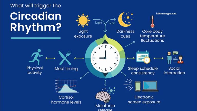 Circadian Rhythms on Body and Mind